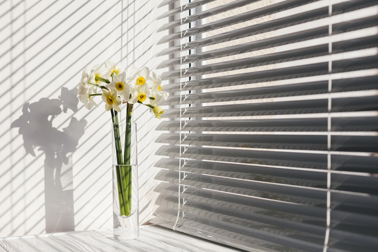 estores-vs-cortinas estores vs cortinas